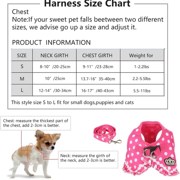 Harness and leash size M - Picture 2 of 3